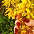 Катерина